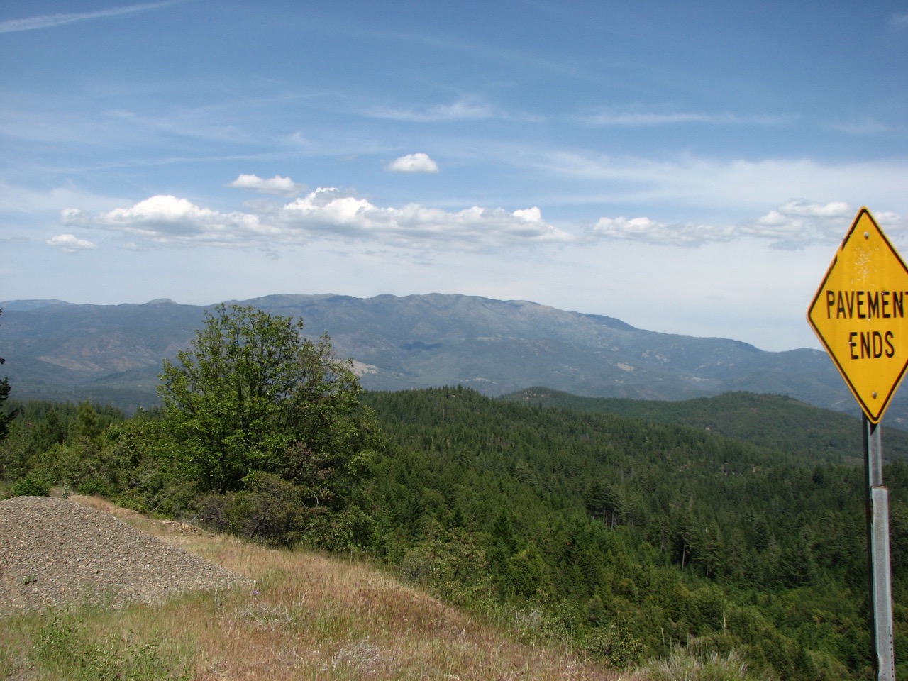 Taken on a dirt road, somewhere in the northern valley of California, near Redding